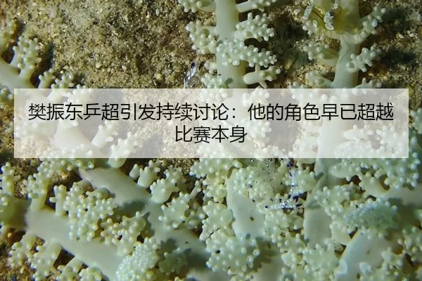 fan-zhen-dong-ping-chao-yin-fa-chi-xu-tao-lun-ta-de-jue-se-zao-yi-chao-yue-bi-sai-ben-shen-1-883.jpg